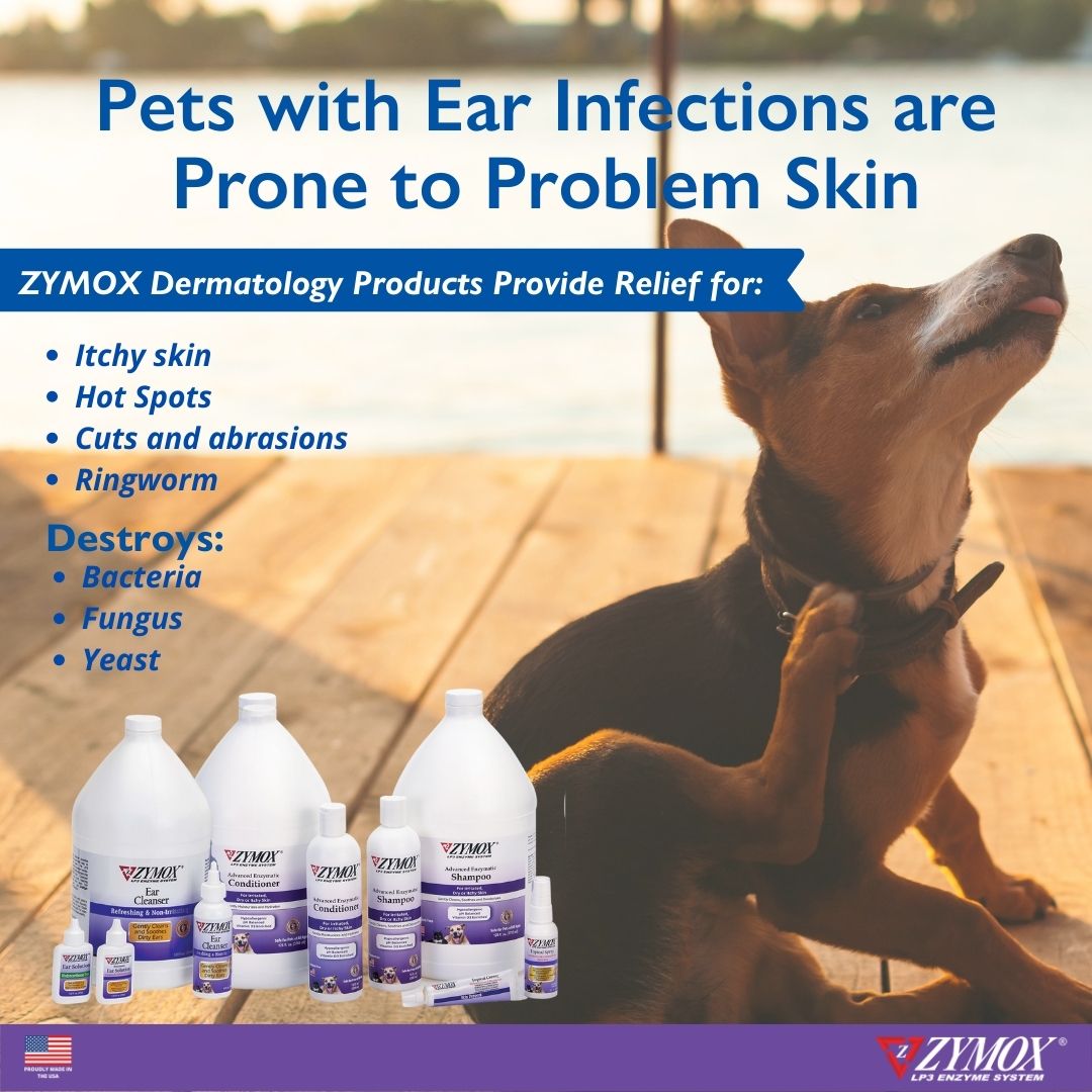 RZAEC1201_667334229158 Pets with Ear Infections 1080x1080