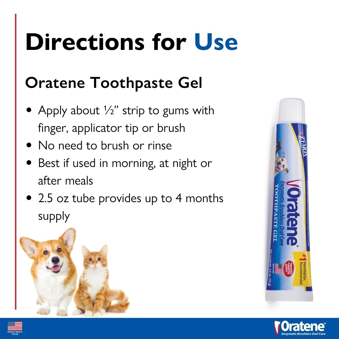 4 RODG0250 667334502503 Oratene Toothpaste_direction.jpg (1)